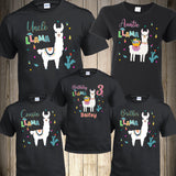 Llama Birthday Girl Shirt for Family