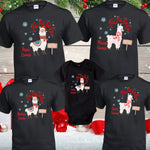 Llama Christmas Family Shirts - X Graphics Shirts