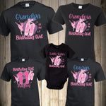 Ballerina Birthday Girl Ballet Girl Birthday Party Custom Birthday Ballerina Shirt Matching Family Ballerina Birthday Shirt Princess Girl