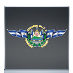 El Salvador Bandera San Salvador  San Salvador	Santa Ana Soyapango S Miguel Mejicanos ApopaSanta Tecla Delgado Ahuachapán Ilopango Colón Tonacatepeque Opico Chalchuapa Usulután San Martín Sonsonate Izalco Cuscatancingo Zacatecoluca